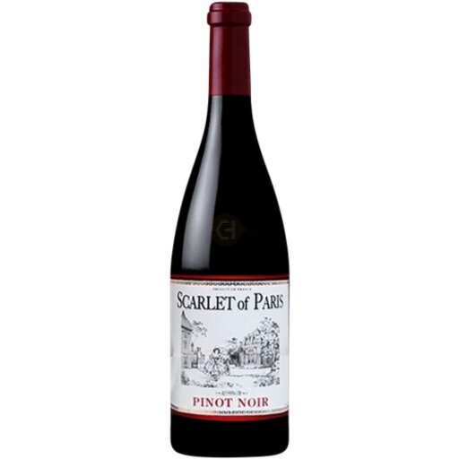 Scarlet of Paris Pinot Noir